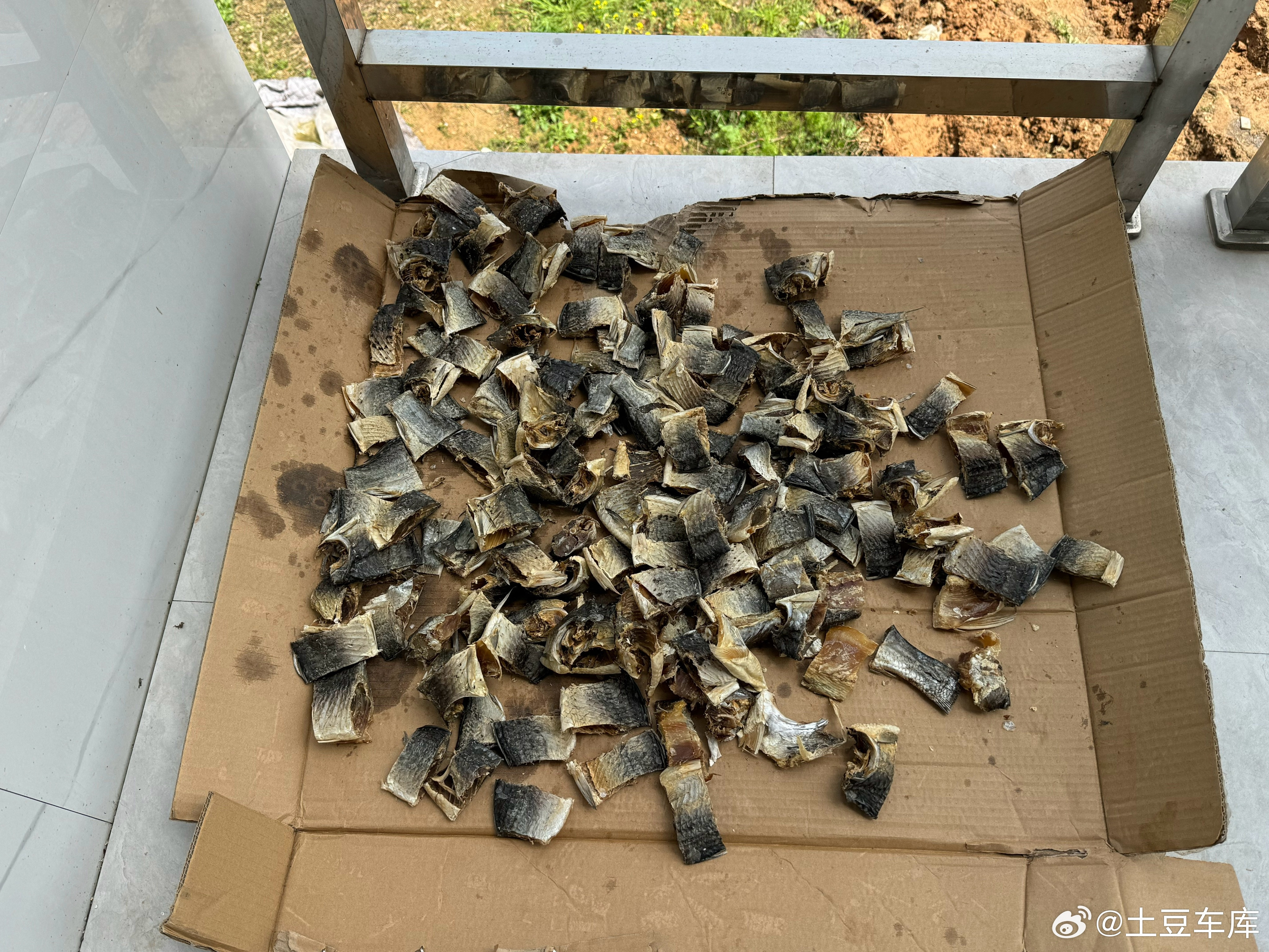 我把钓的鱼带回来我妈全部给晒干了非常有成就感哈哈哈哈今年有空我再去钓一些