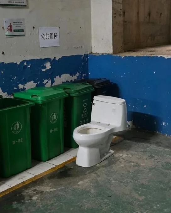 每日梗图