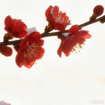 把喜欢的风景存进相册，把喜欢的自己放进梦里，晚安。