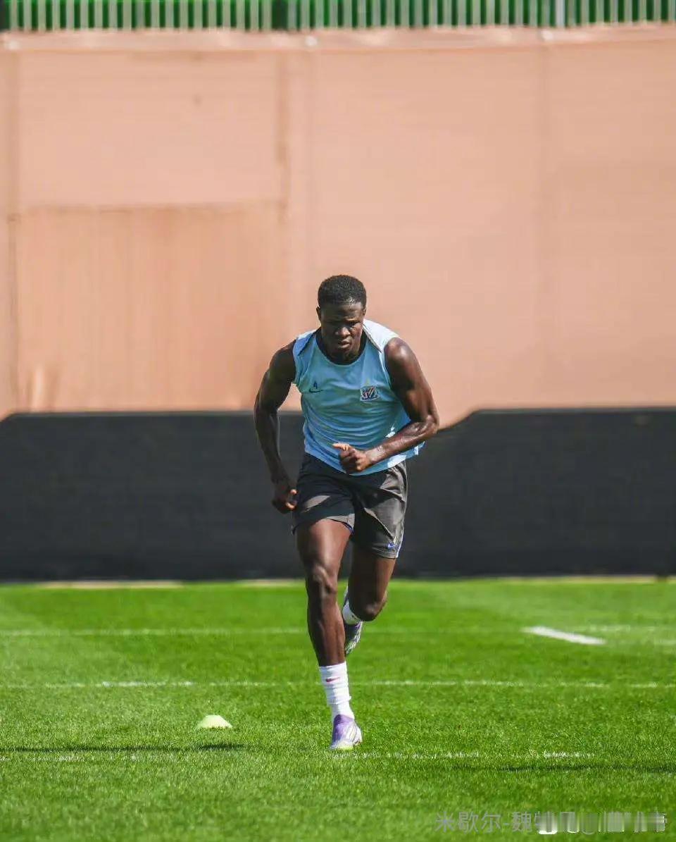 上海申花定能夺冠，就是看提前几轮的问题！《东方体育日报》：申花拉斐尔拉唐成为申