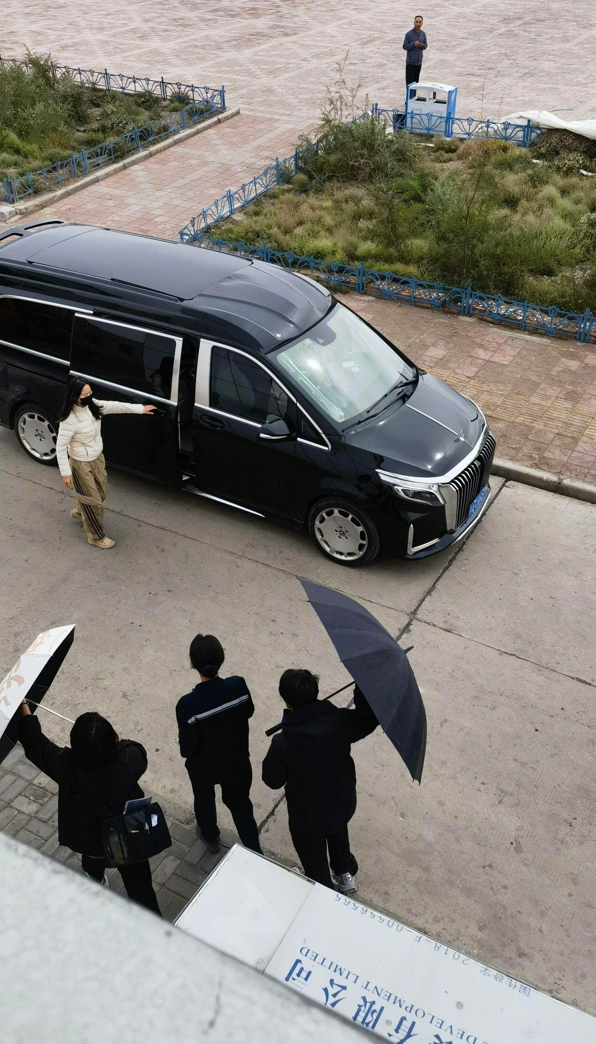 杨紫生命树上班背影照我的妈耶有点帅啊白菊盘发背影上班照​​​