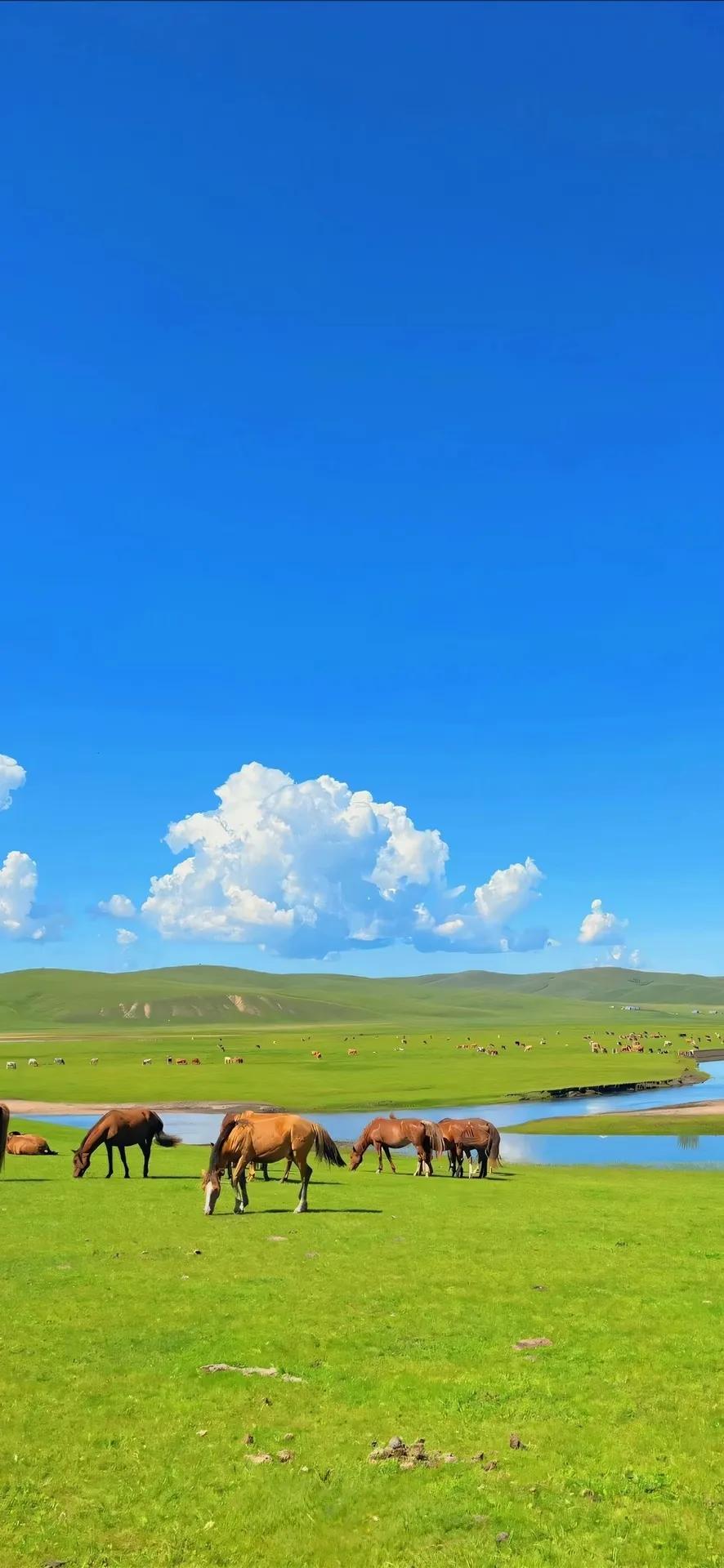 每日壁纸图分享分享最美的壁纸风景图片治愈系风光壁纸张张皆是风景图绝美风景