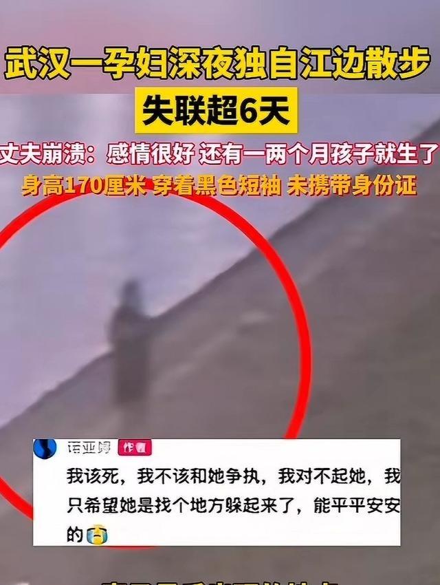 一个快要生产的孕妇，凌晨和丈夫吵架后曾独自出门，整整6天没有任何消息。最后画面显