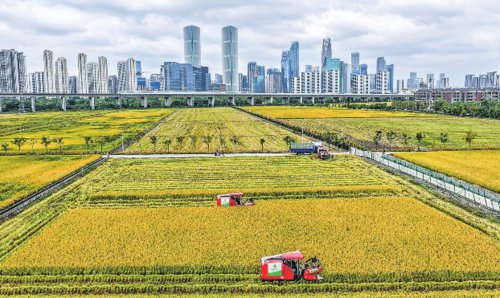 谋划“十五五”新型城镇化发展蓝图