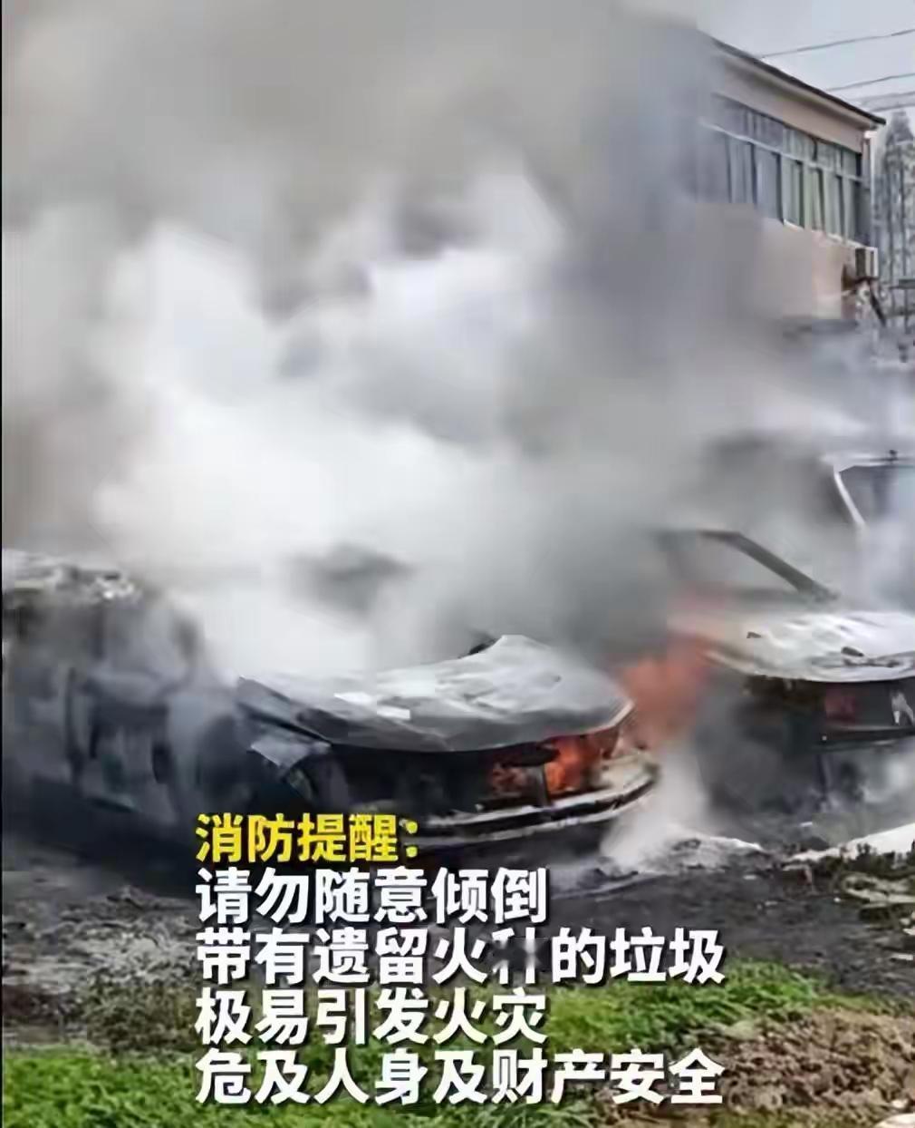 这教训给这女人是狠狠的一重拳，后悔都晚了，倒垃圾没有常识吗？估计看到这路边的