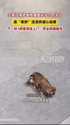 科学也解释不清了！近日陕西西安，一店主因生意冷清打算提前关门，关门时发现门口有只