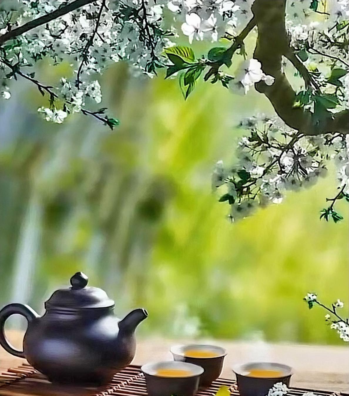 非常通透的一段话：“天气说变就变，人心也是，风雨验证的是真情，时间戳穿的是谎言，