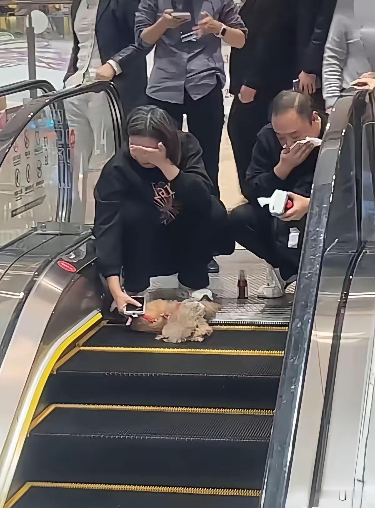 养狗必须要拴绳！