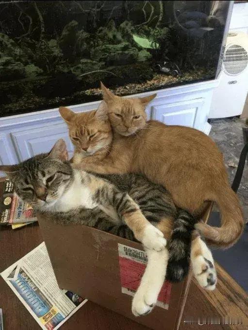 单人座卖给三名乘客。