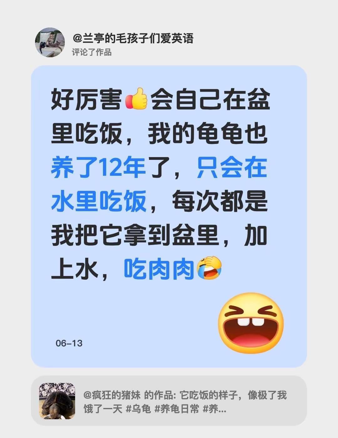 我评论了@疯狂的猪妹的作品：好厉害会自己在盆里吃饭，我的龟龟也养了12年了，只