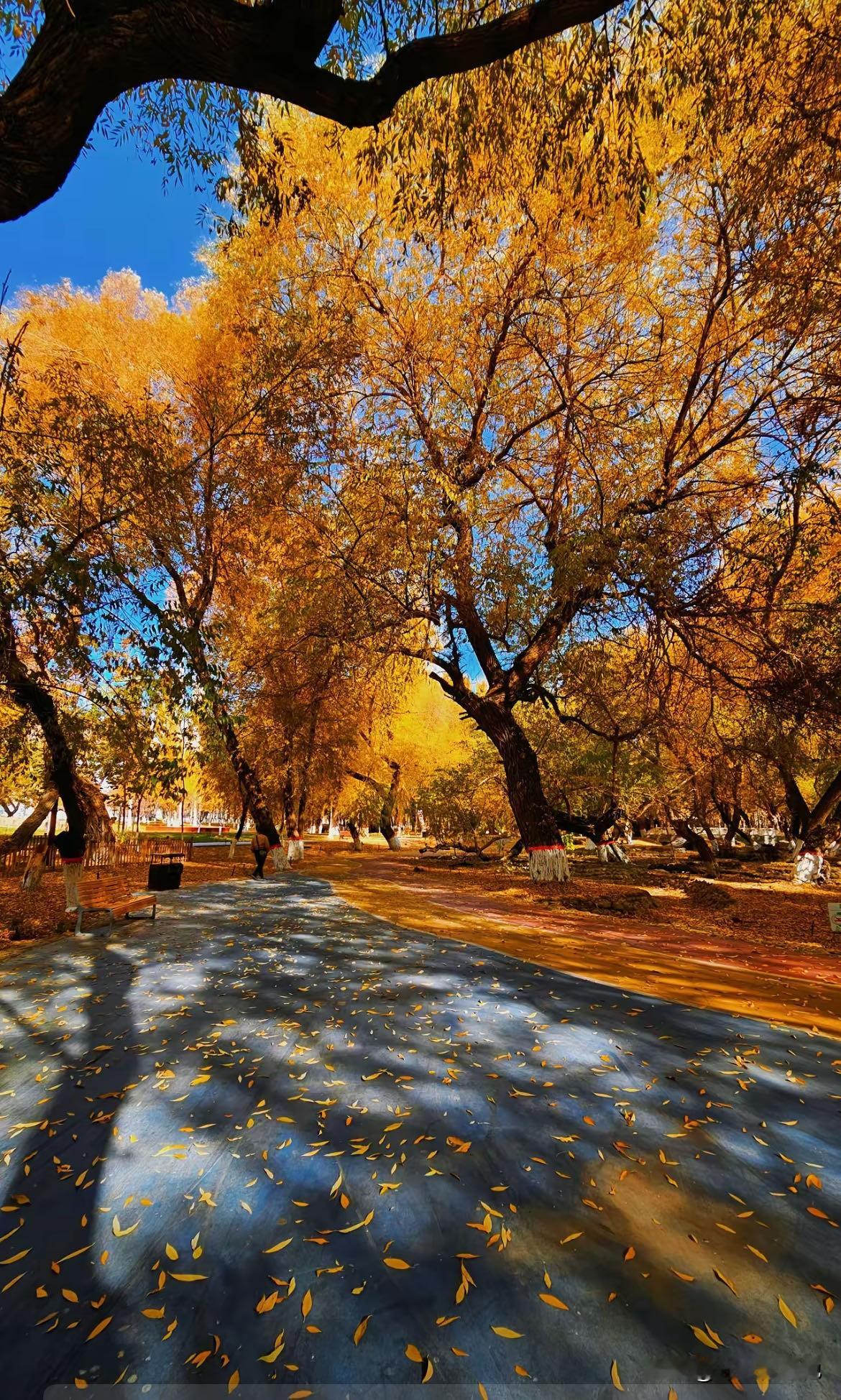 人生中有些东西极难悟透和看破，主要包括名利、情感和生死三个方面。一...