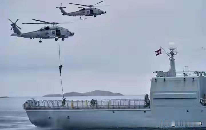 正所谓兔子急了也要咬人啊。丹麦虽然是个童话王国，但是一旦被欺负的狠了，他们也是会