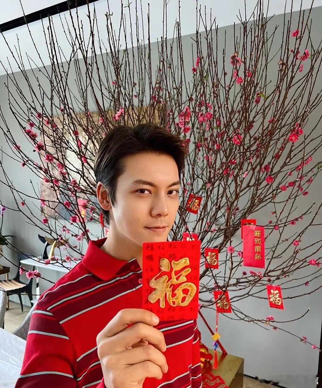 他们的那些眉毛时候怎么变成这样的