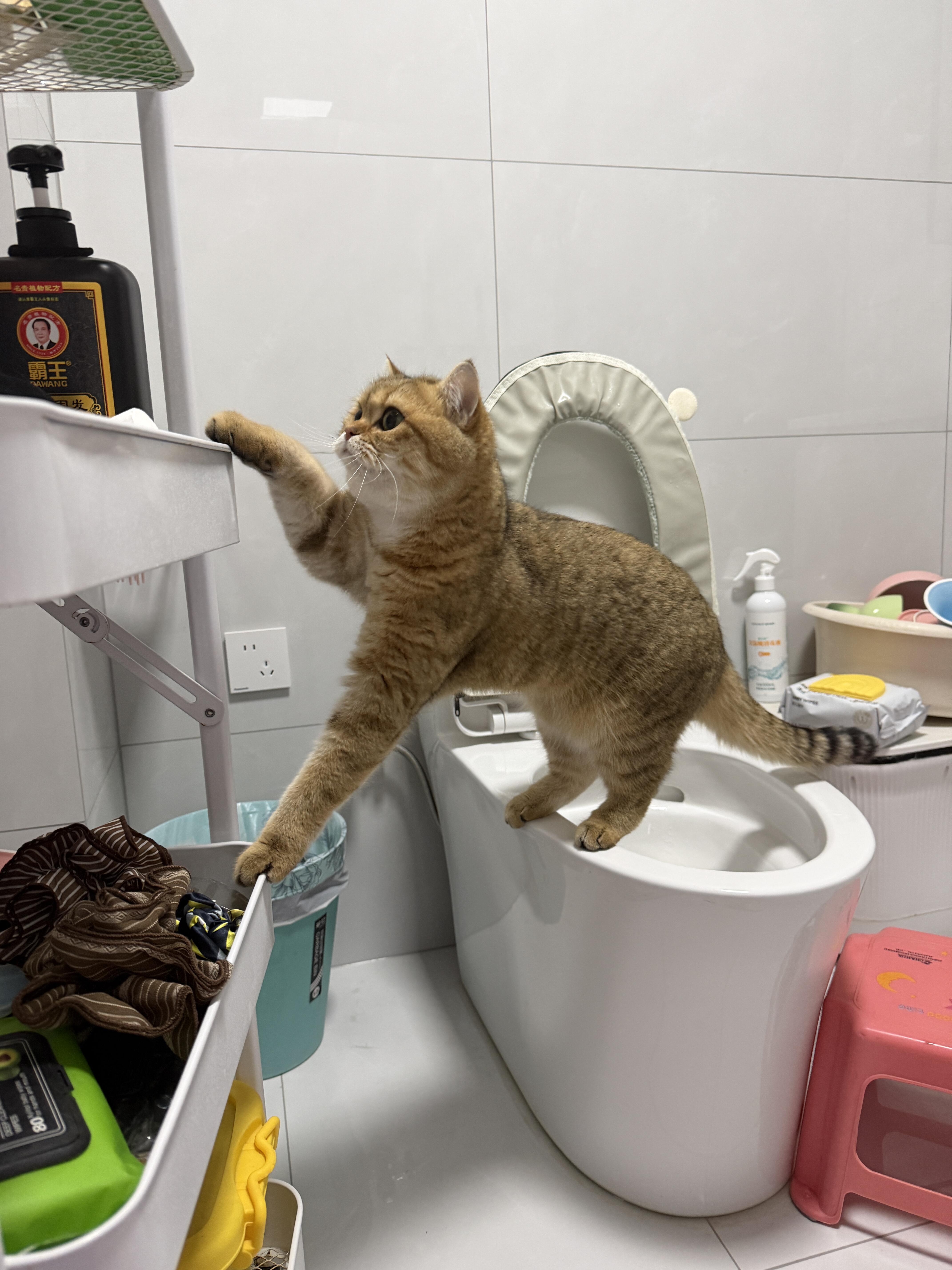 俺福福咋能这么搞笑呢