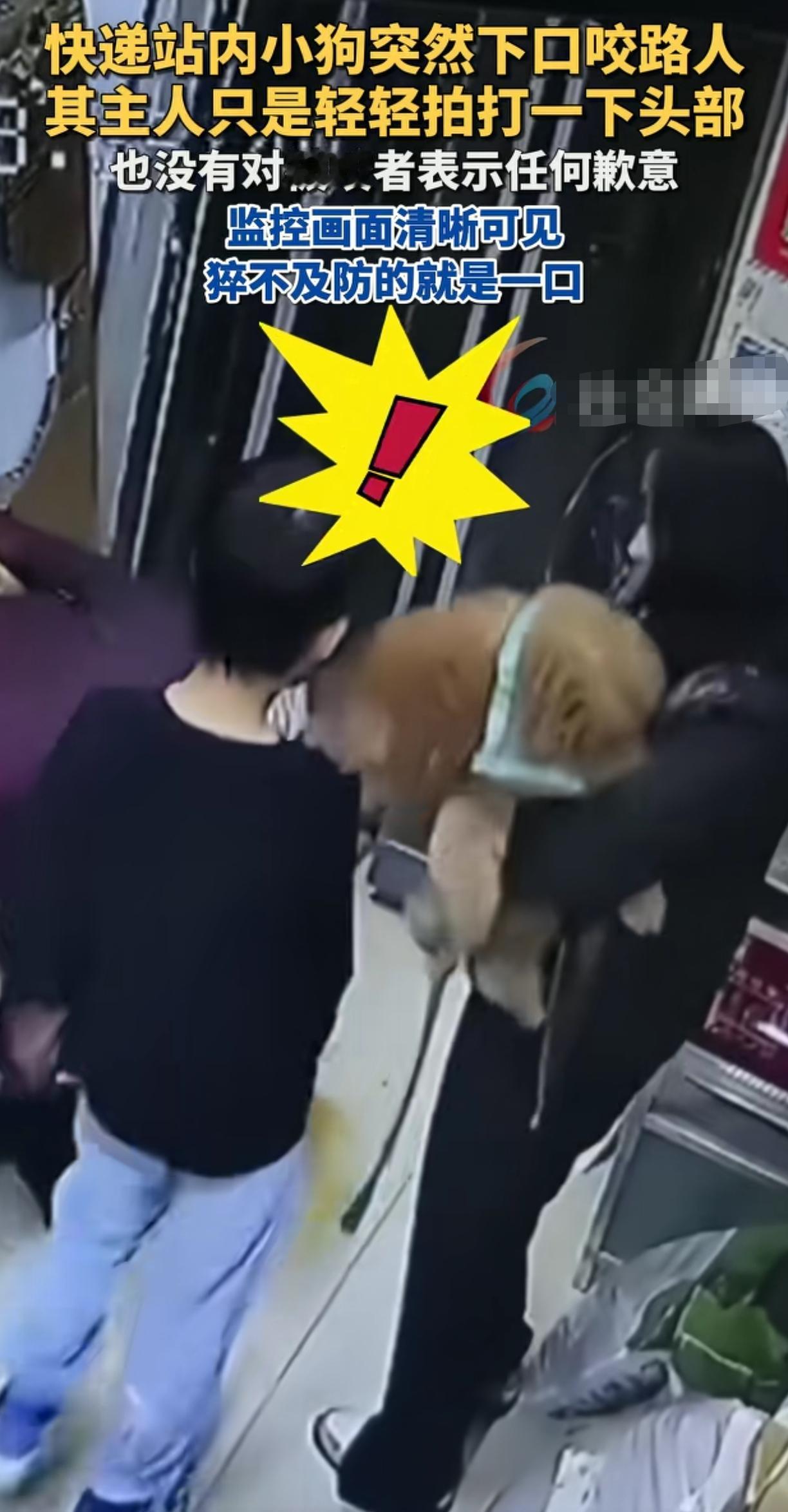 这下爱狗人士又要沉默了人孩子去快递站拿快递和那只小狗擦肩而过，猝不及防的给人来