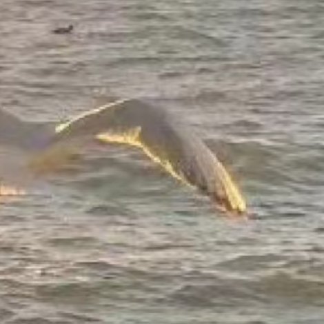 每一个人都可以成为生活中的阳光。用我们的微笑、用我们的善良、用我们的热情去温暖这