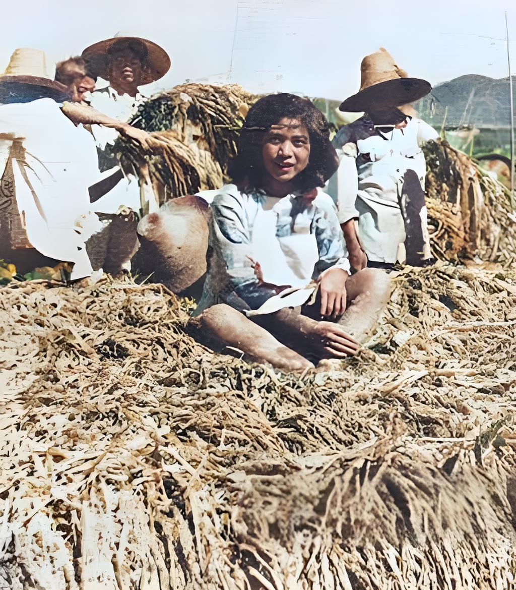 1958年，大姑娘坐未割谷穗特写照片