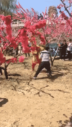 这又是哪一难？😵‍💫