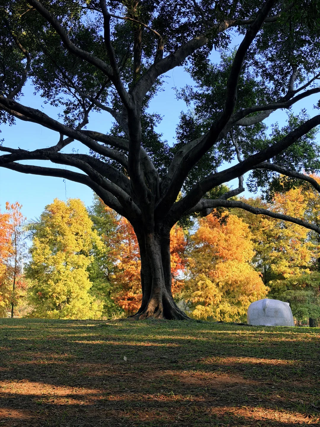 人生建议：天气好的时候，早起往公园冲