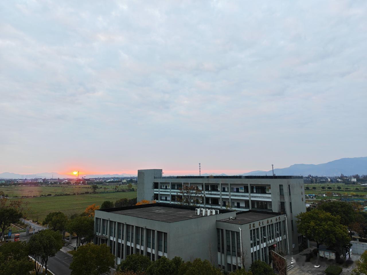 今天中午的菜比较合孩子们的胃口，结果都要求打菜的孩子多给一点，后面打菜的孩子自己