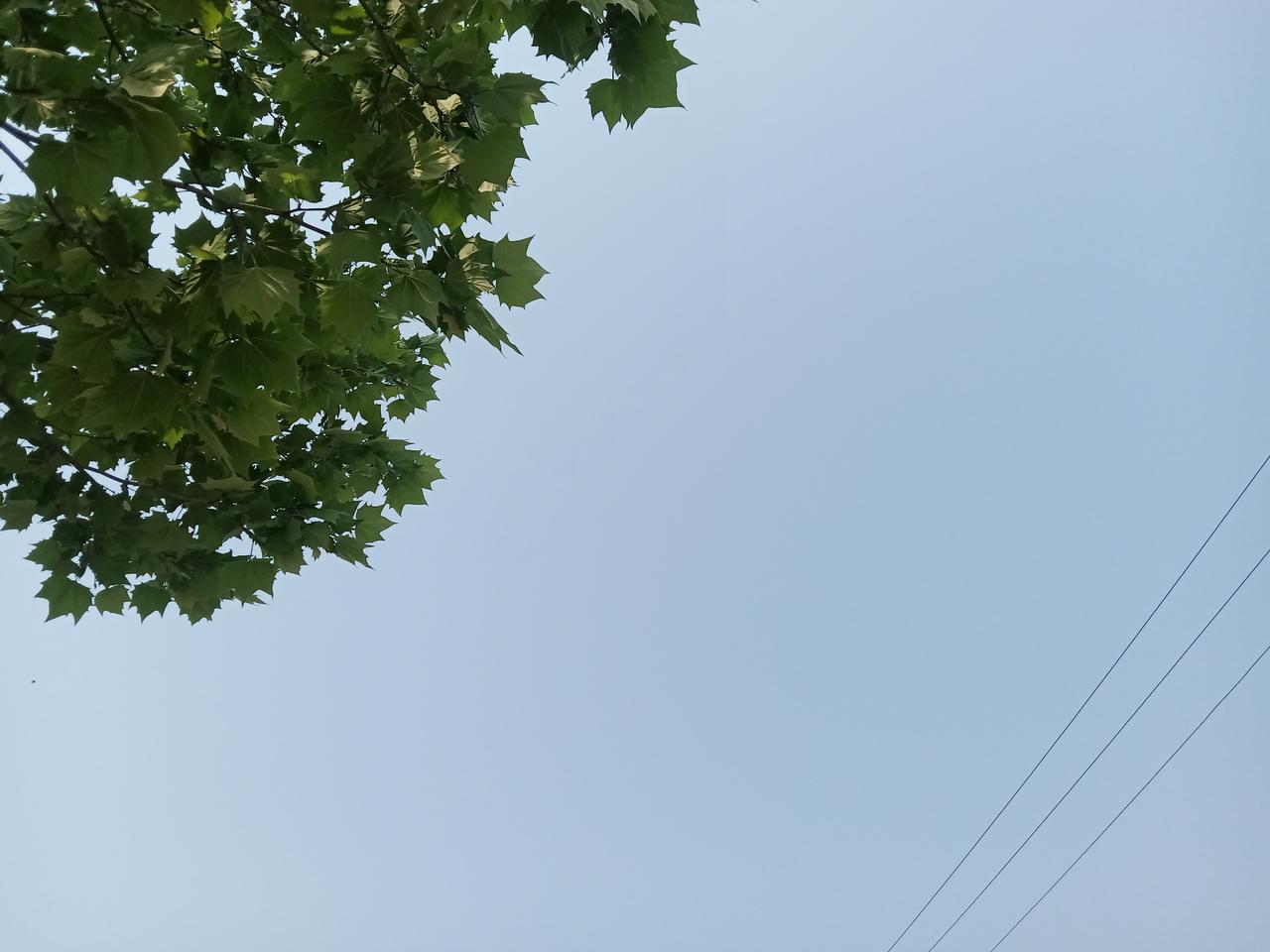 失眠让我痛不欲生，不愿意吃抗抑郁的药，病急乱投医。真不知道还能坚持多久，每当夜幕