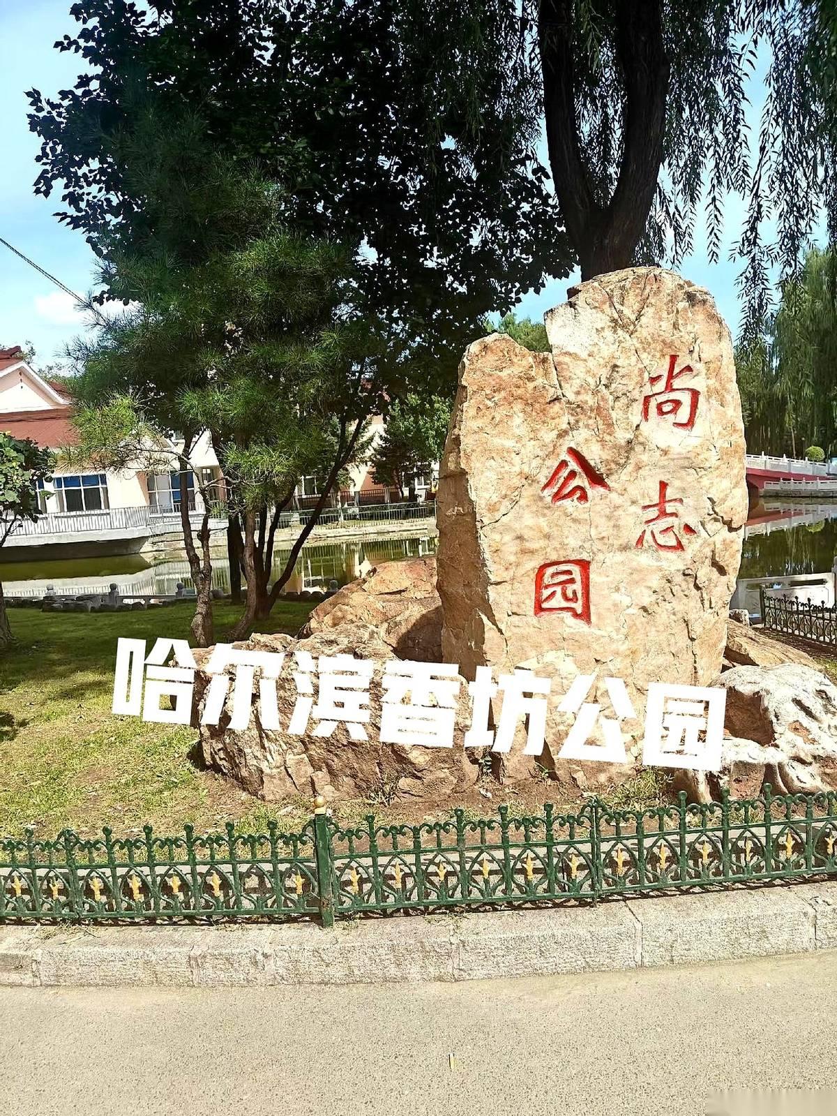 凌晨三点，憋着一泡尿在公园长椅上醒来。一睁眼，脑袋顶上直勾勾坐着个披头散发的老