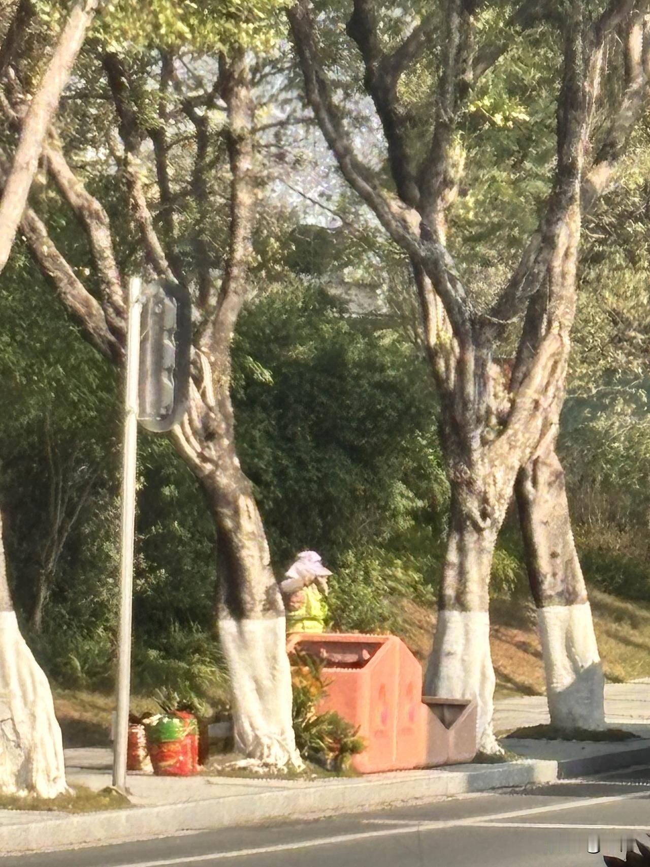 天了噜！原来摆在广州奥体中心的粉红色漂亮花盆只是借来用的啊！现在运动会开