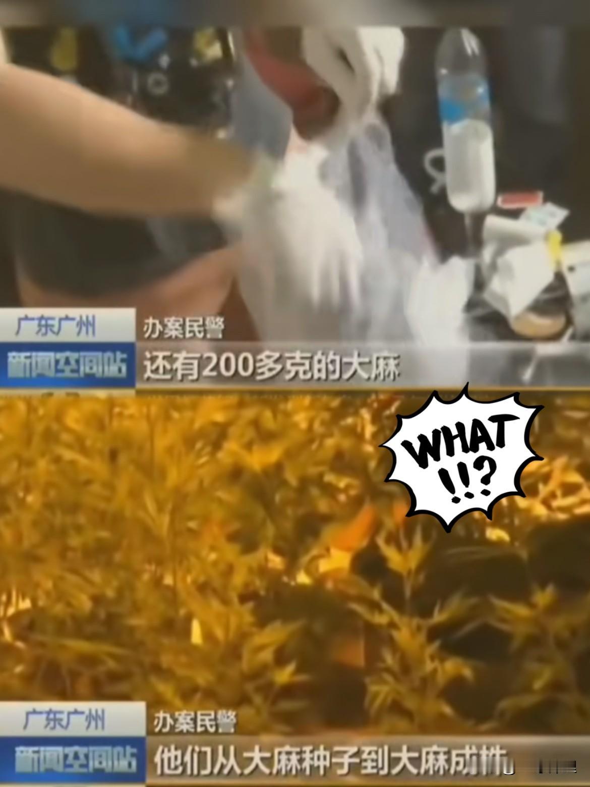 这个佩服了！广州警方抓获的19名嫌疑人其中含11名外籍人员组成的贩毒团伙