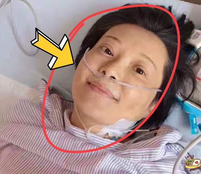 继演员朱媛媛患病之后，曾凭借经典剧集《铁齿铜牙纪晓岚》中敢爱敢恨、率真灵动的杜小