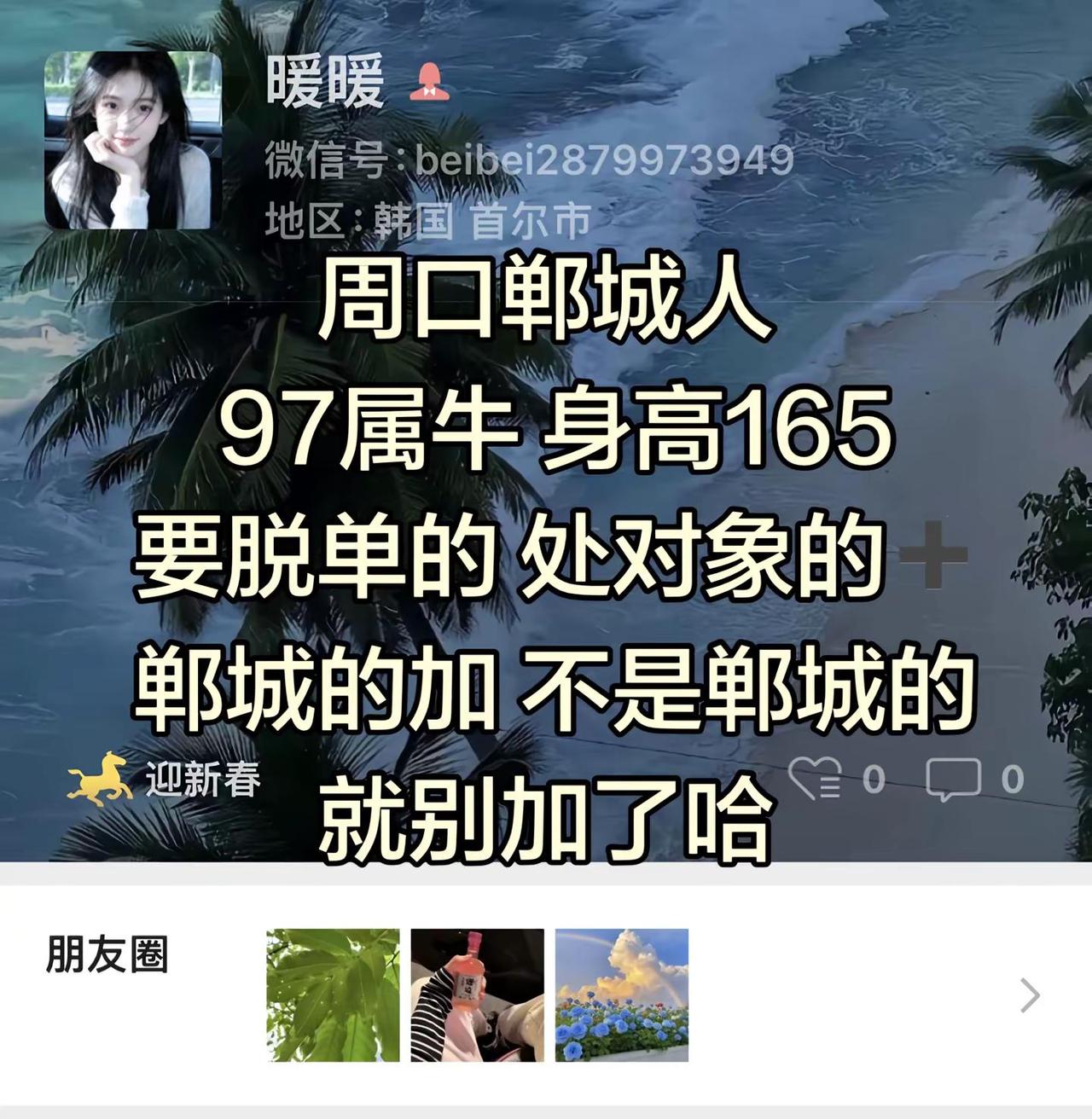 处对象不脱单相亲