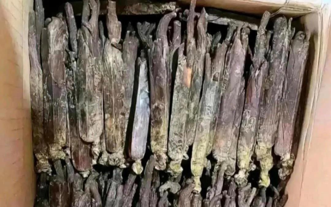 深圳的一个女房东，把房子租给了一个租客，租客搬走之后，在她整理房间过程中发现了一