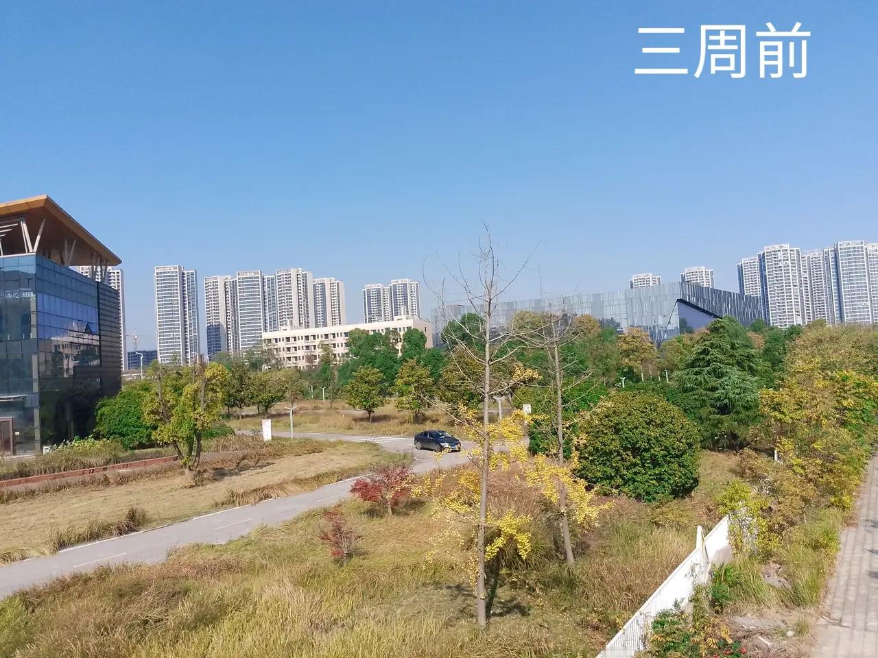 中联重科湘潭基地变化实拍。自从中联重科进场后，湘潭基地园区是一天一小变，一周一