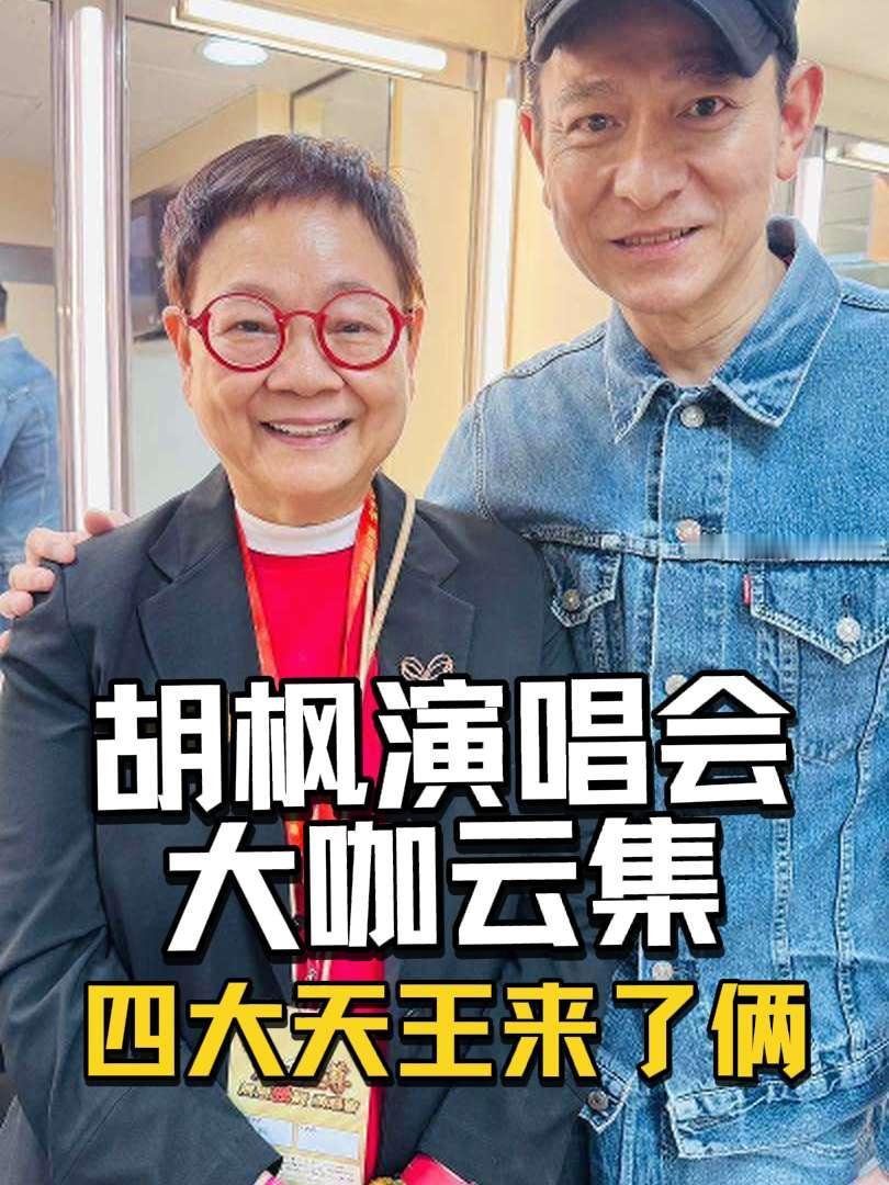 刘德华，张学友，张家辉，陈奕迅，莫文蔚，张卫健等胡枫演唱会刘德华张学友