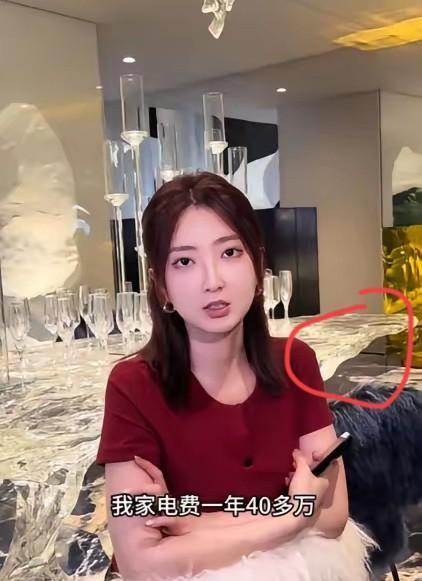 浙江33岁一女子，一年电费44万，直接把电力局都惊动了！这钱对普通人来说，可能是