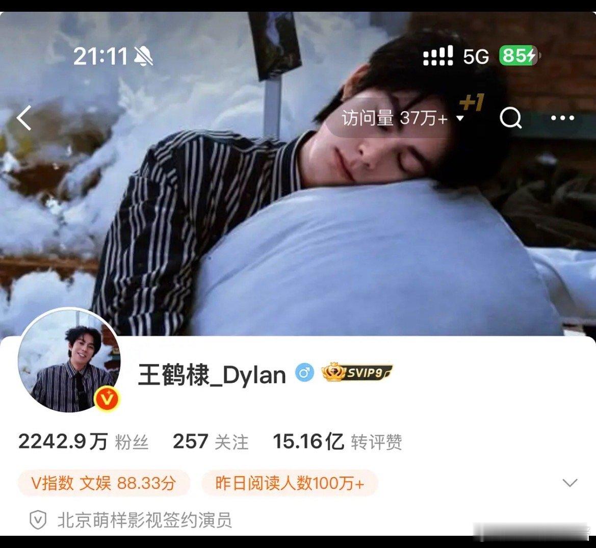 王鹤棣的wb访问量都不如yxh了吗