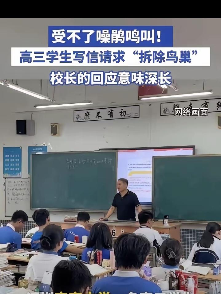 最近，深圳宝安中学有个高三学生，因为学校里的噪鹃鸟整天叫个不停，实在受不了，就写