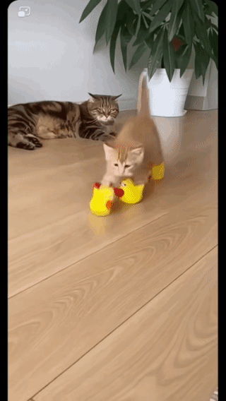 我有啥办法？我愿意这样嘚瑟吗？