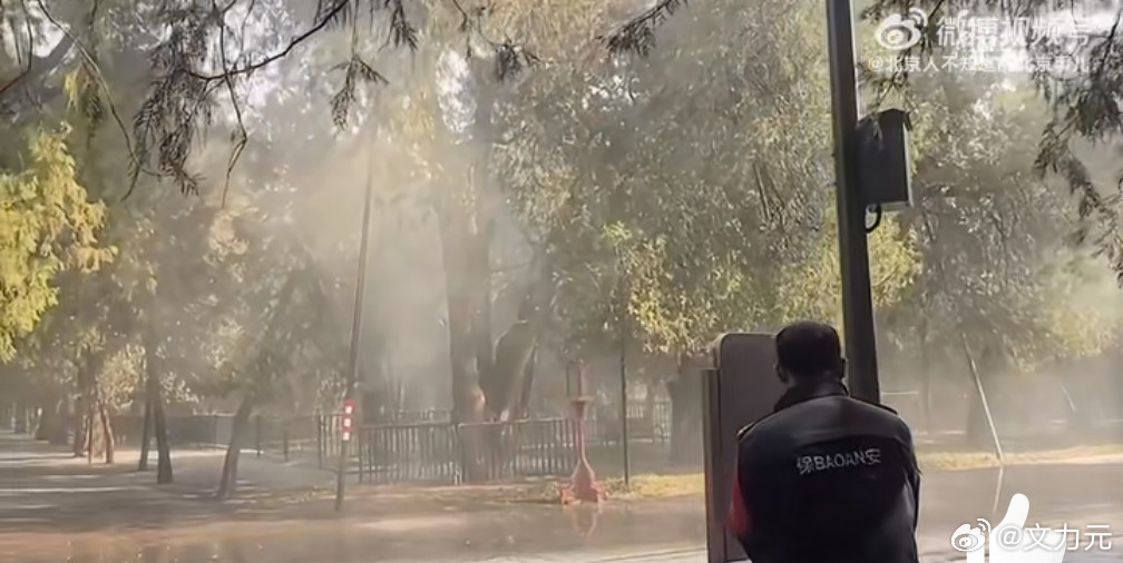 北京花粉，我以为是达利园效应呢，没想到是花粉，怪不得鼻子老过敏。