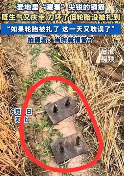 河北女子收割麦子时发现麦田里有两根新焊的钢筋，担心扎坏收割机轮胎，于是拨打了报警
