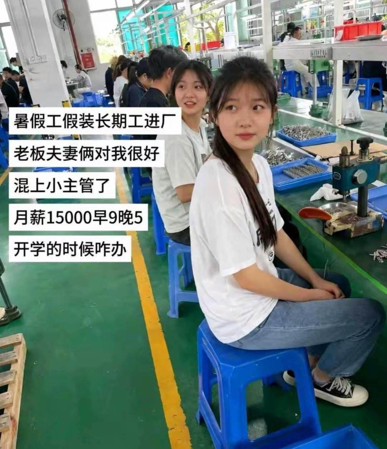 暑假进厂伪装成长期工，运气爆棚被老板赏识，直接提拔成小主管，月薪一万五，早九晚五