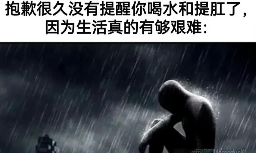 每日meme此图有梗梗图人间真实