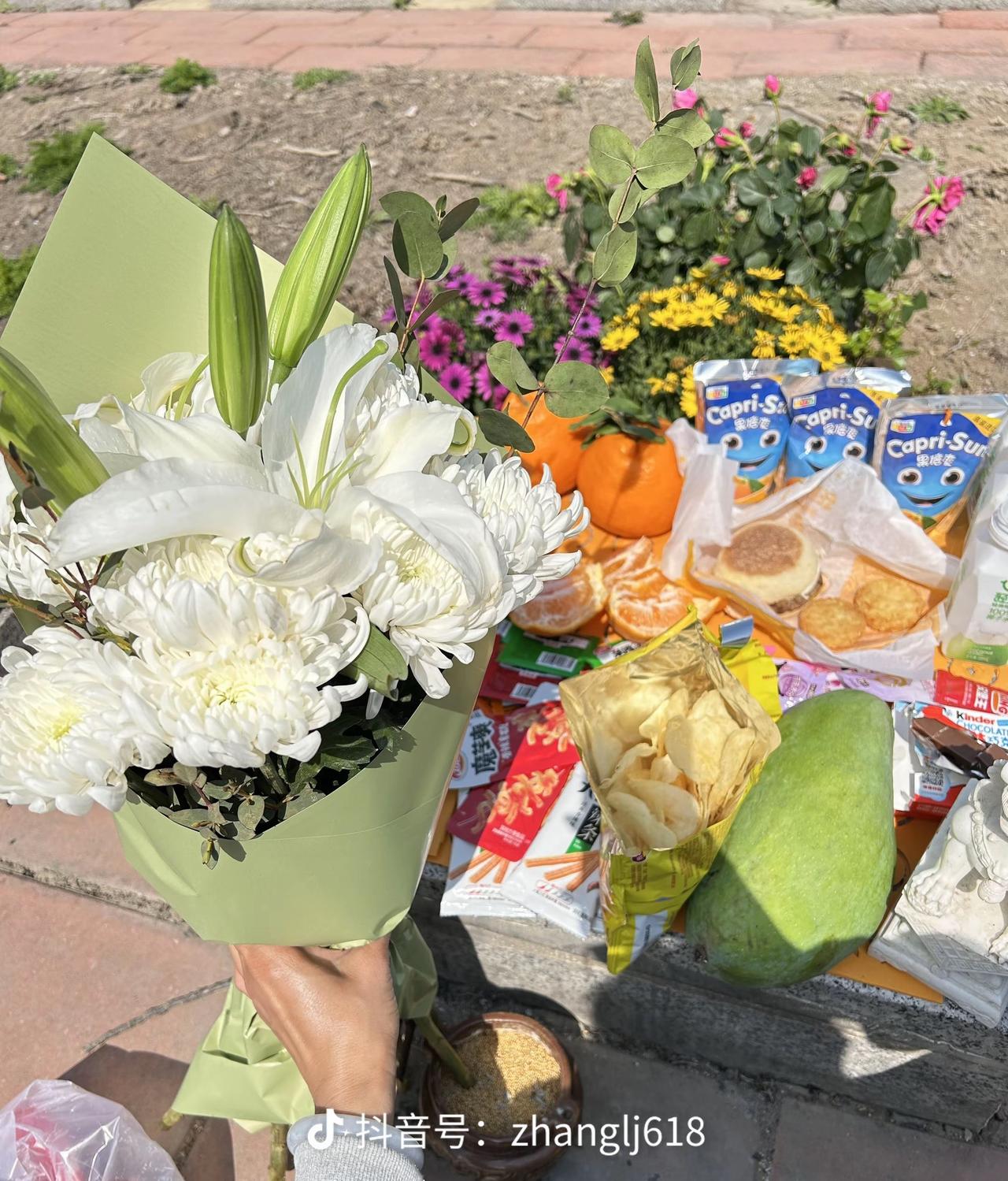 今年是我给儿子过的第二个清明节，估计全中国都没有我这样去扫墓的了。独自一人拉一个