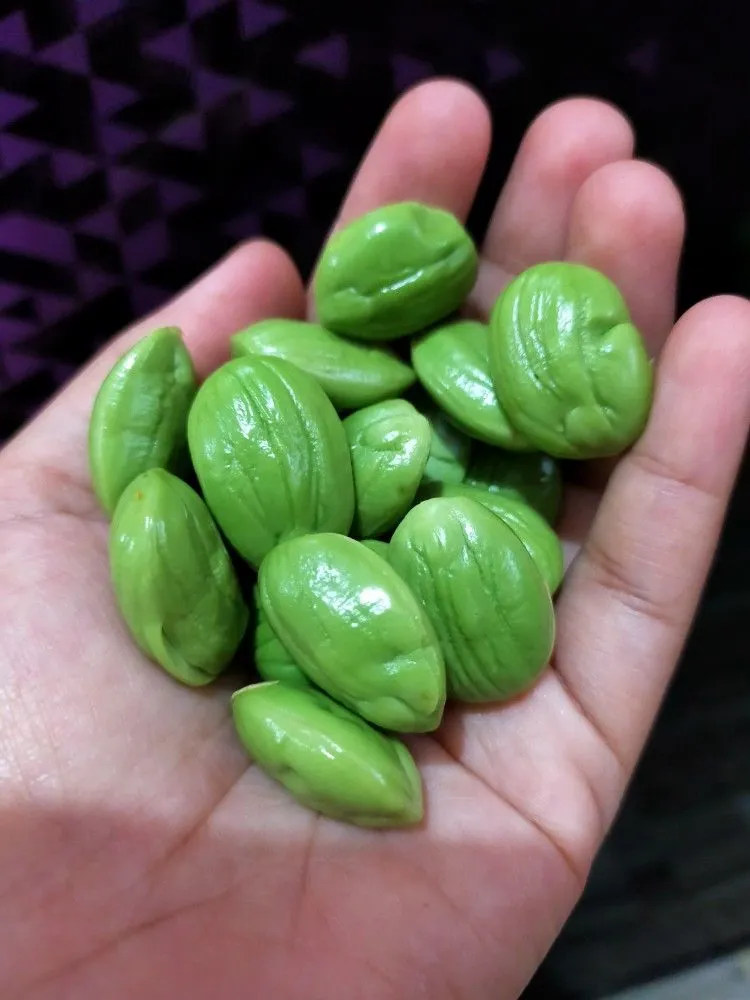 这玩意儿到底有多臭？