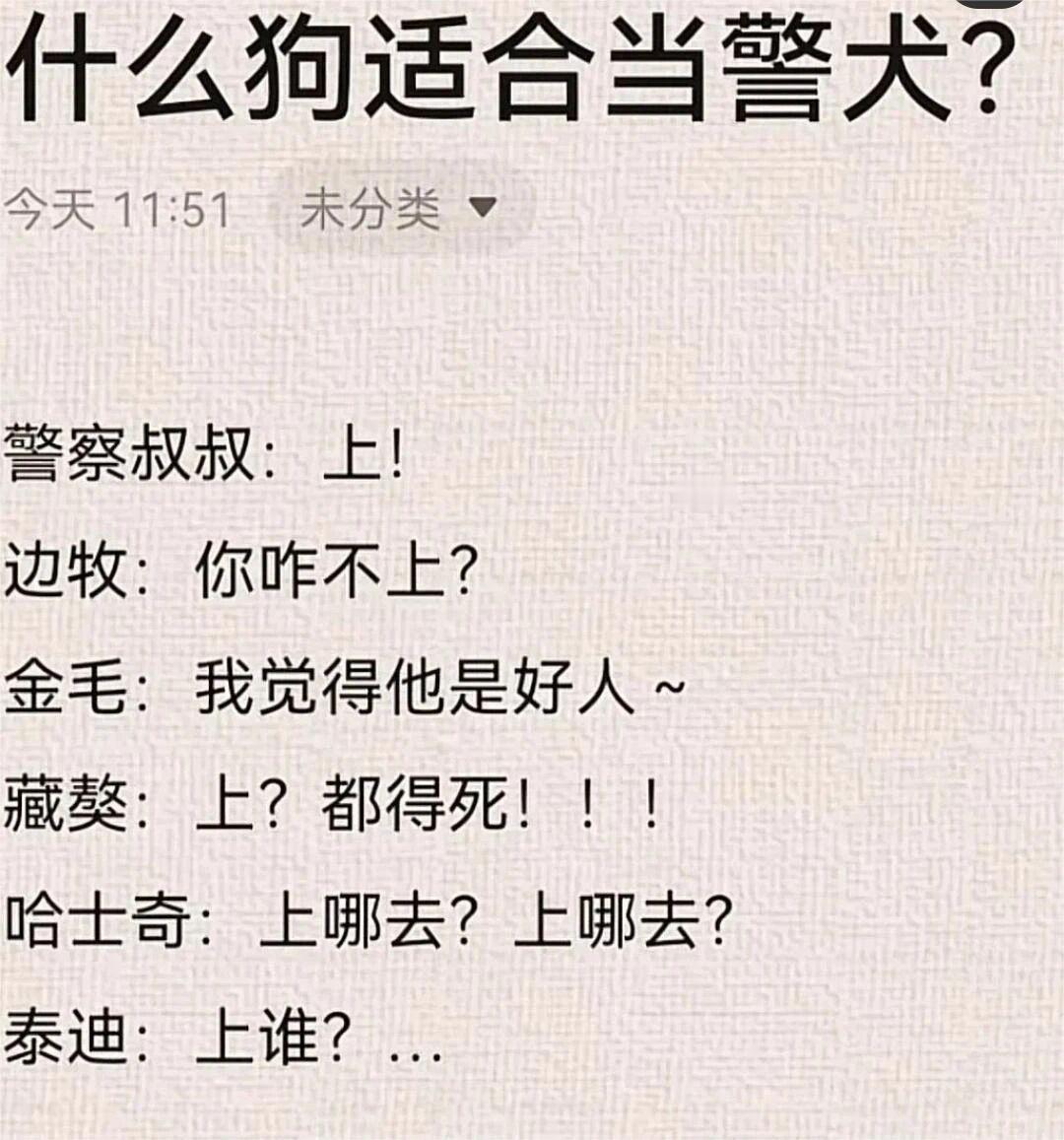 什么狗适合当警犬？​​​