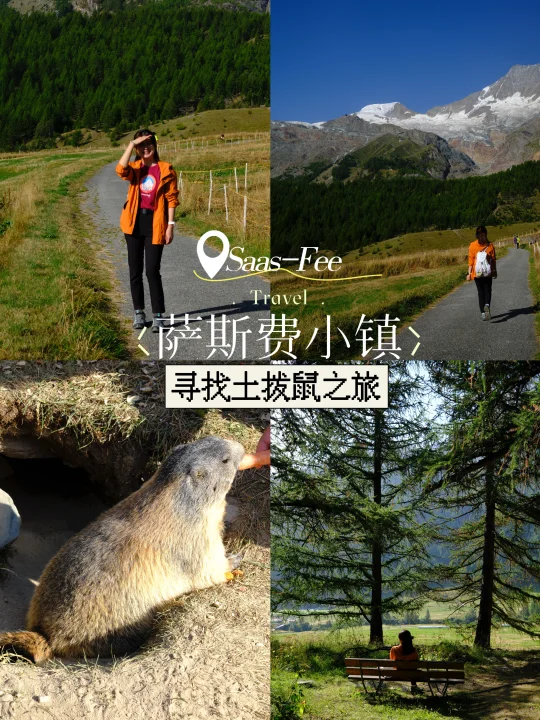 🇨🇭雪山小镇萨斯费：寻找土拨鼠🍂