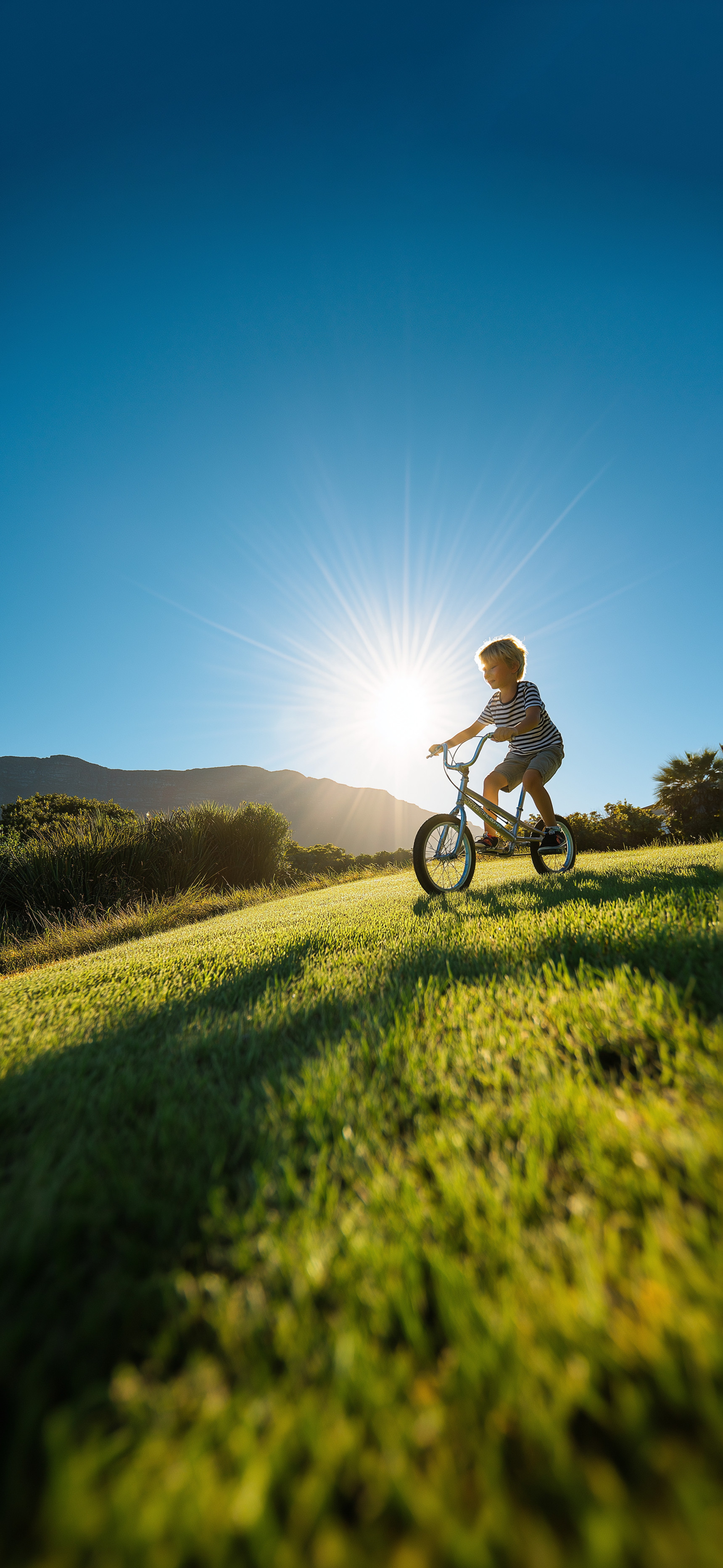 莱分享今日iPhone壁纸分享
