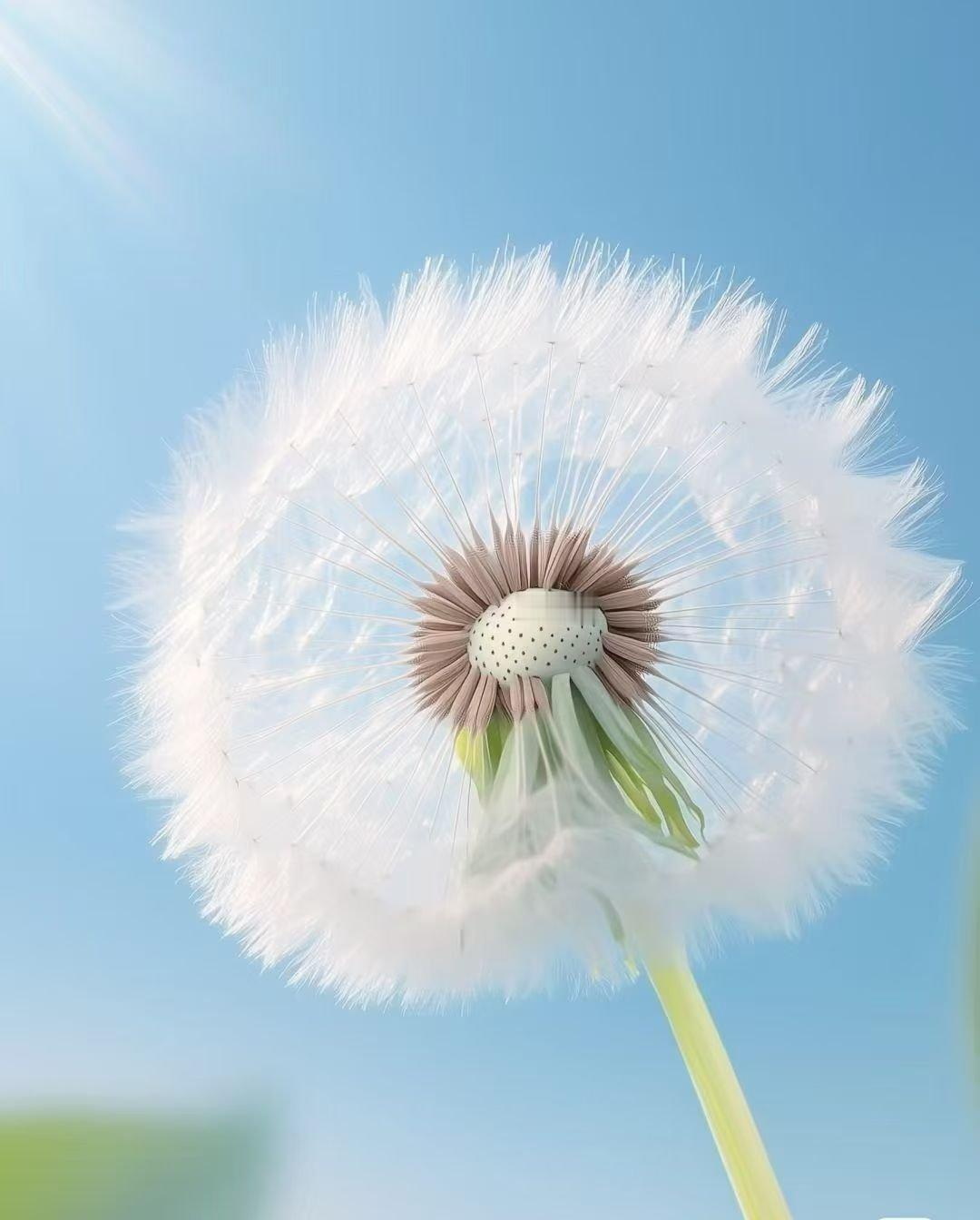 生活不在别处当下即是全部😘和清晨的阳光撞个🈵怀💫​​​