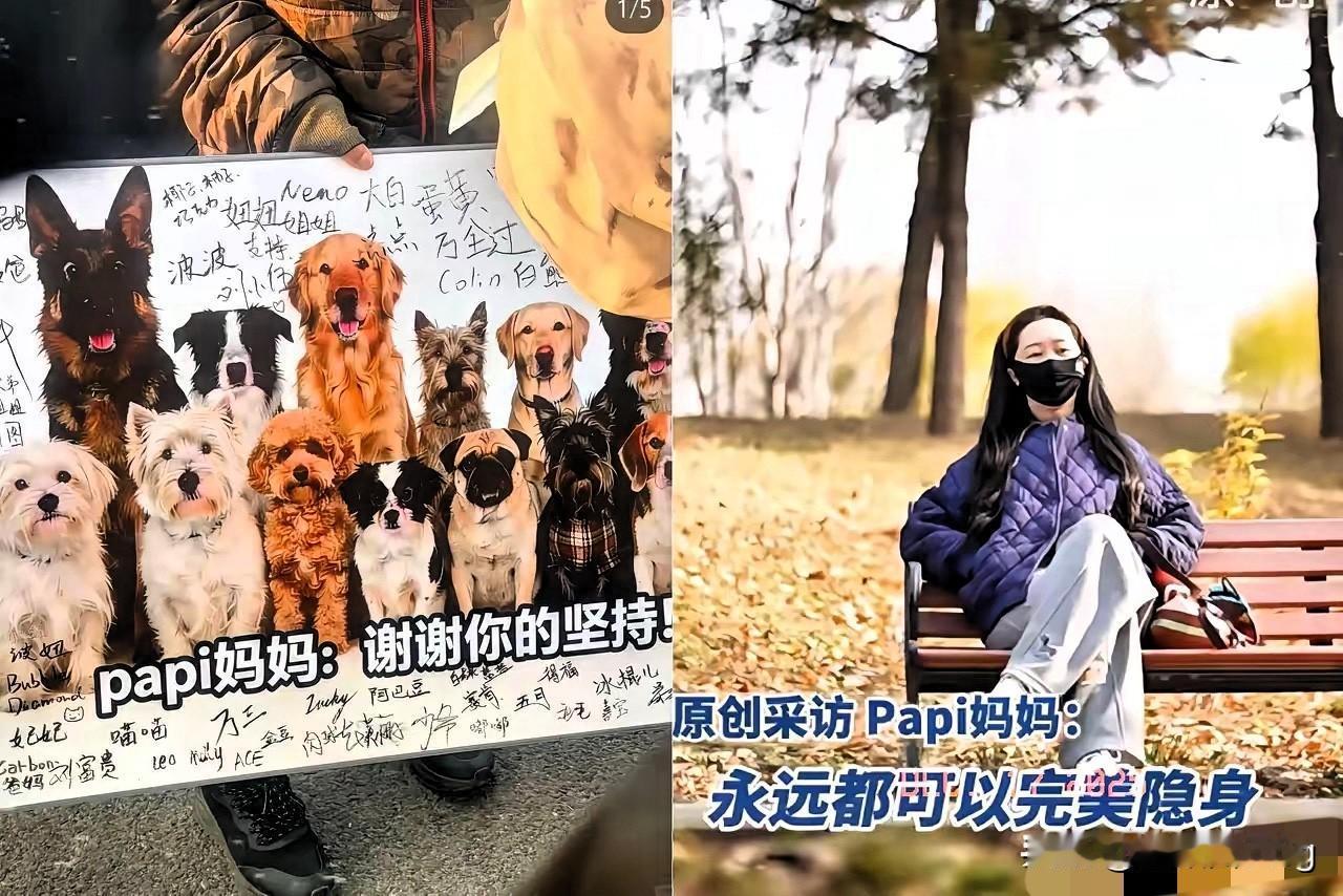 大家都觉得，北京毒狗案判决看似是养狗群体大获全胜，实则吹响了全民反对不文明养宠的