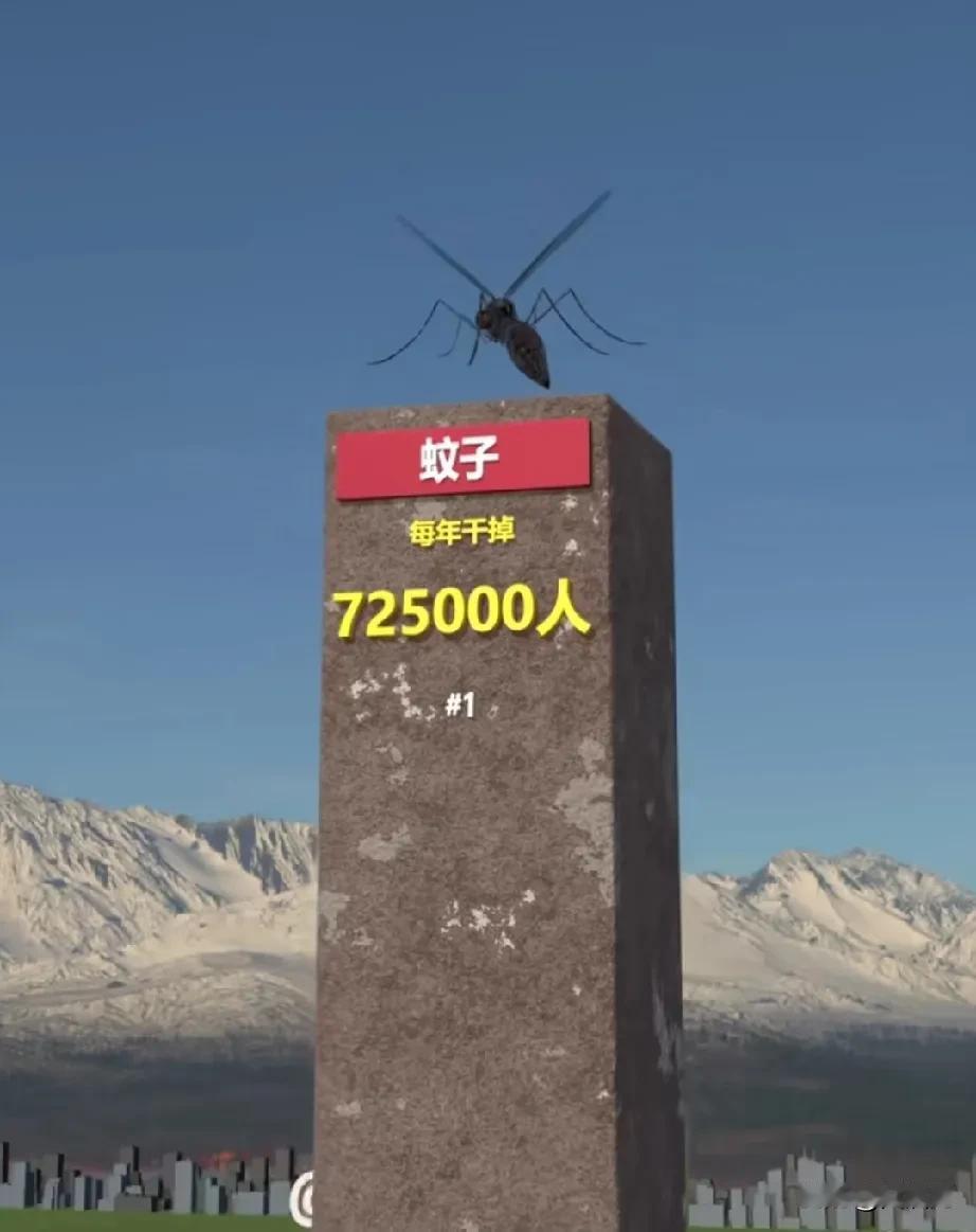 每年伤害人类最多的动物，第一名，体型很小，每年伤害人类高达72万人。蝙蝠:2