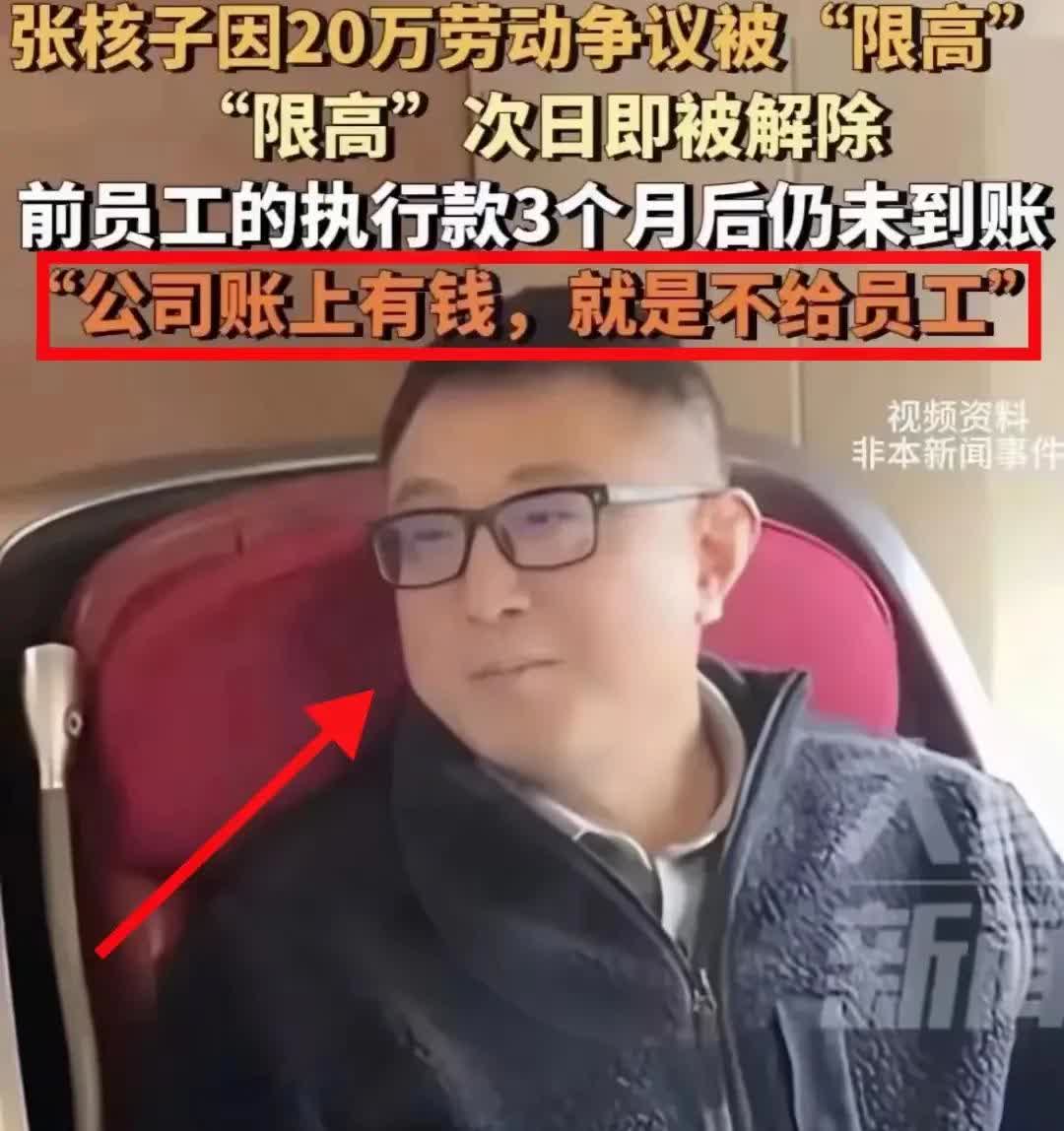 “国外的都知道他是谁，国内的都不知道他是谁！”张核子，张同志，张老板，